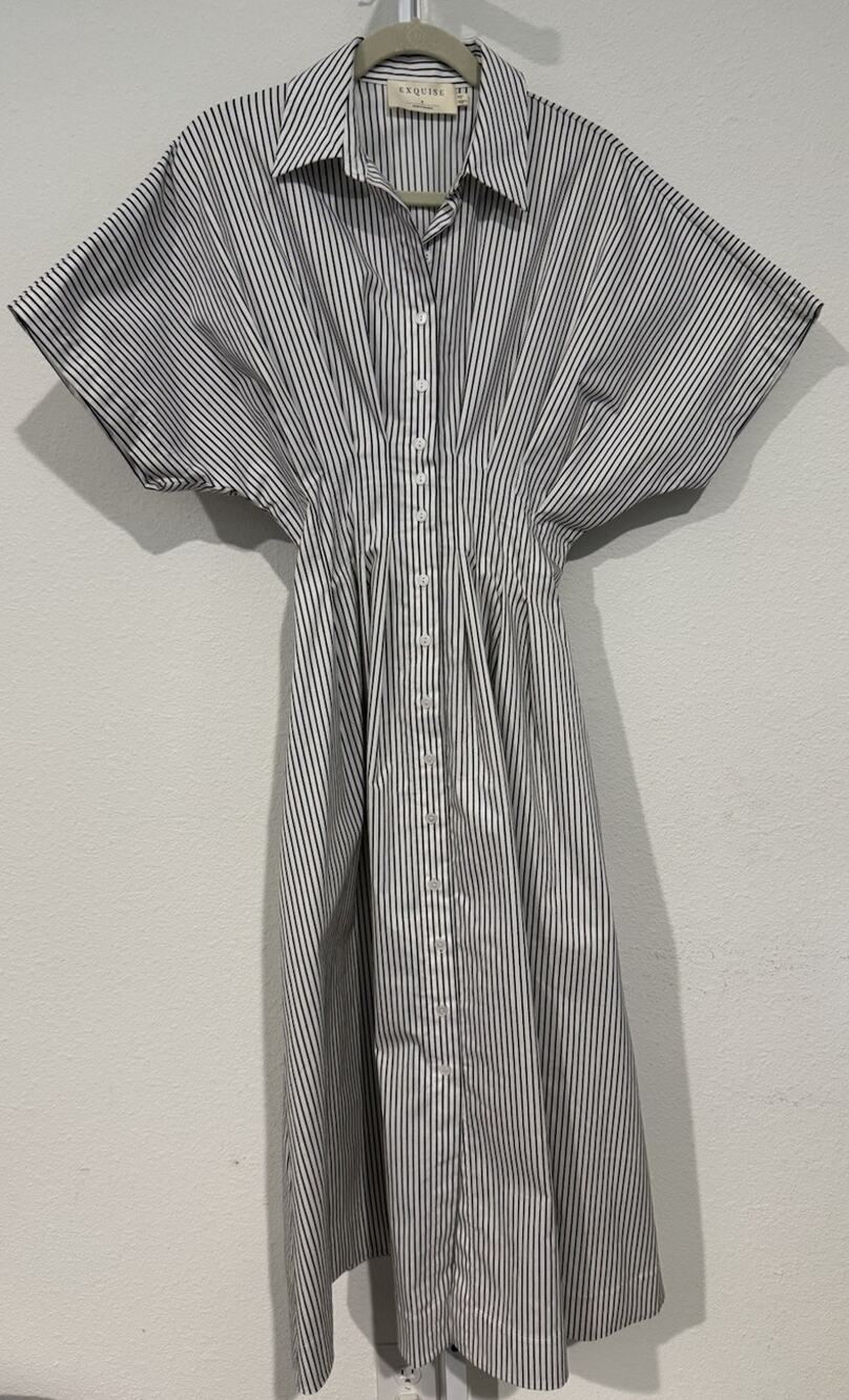 Exquise Anthropologie Shirt Dress Stripe Tobie Button Front Pleated Size S NWOT